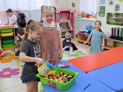 Активисты поливают лук