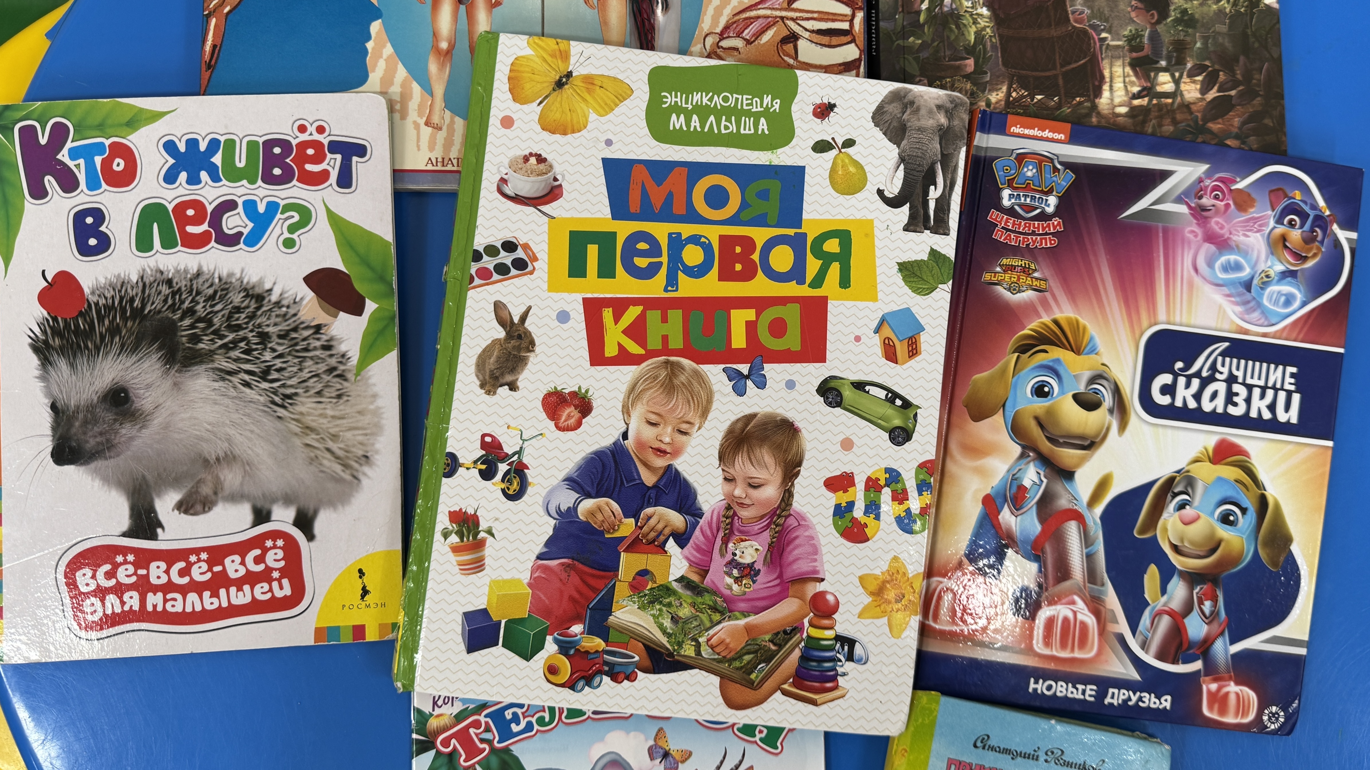 Открывая книгу