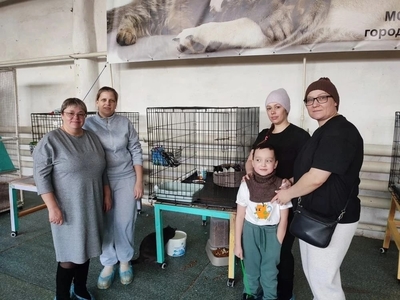 Наставники в приюте для кошек "9 жизней"