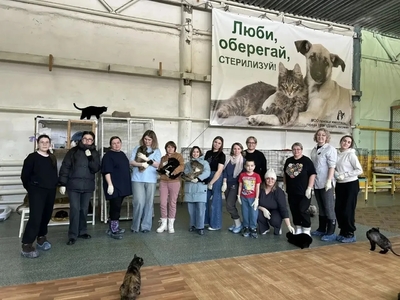 Наши наставники в приюте для кошек "9 жизней"