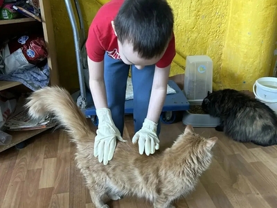 Добро в прикосновениях