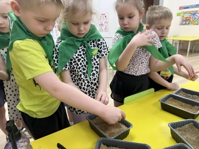 Посадка микрозелени